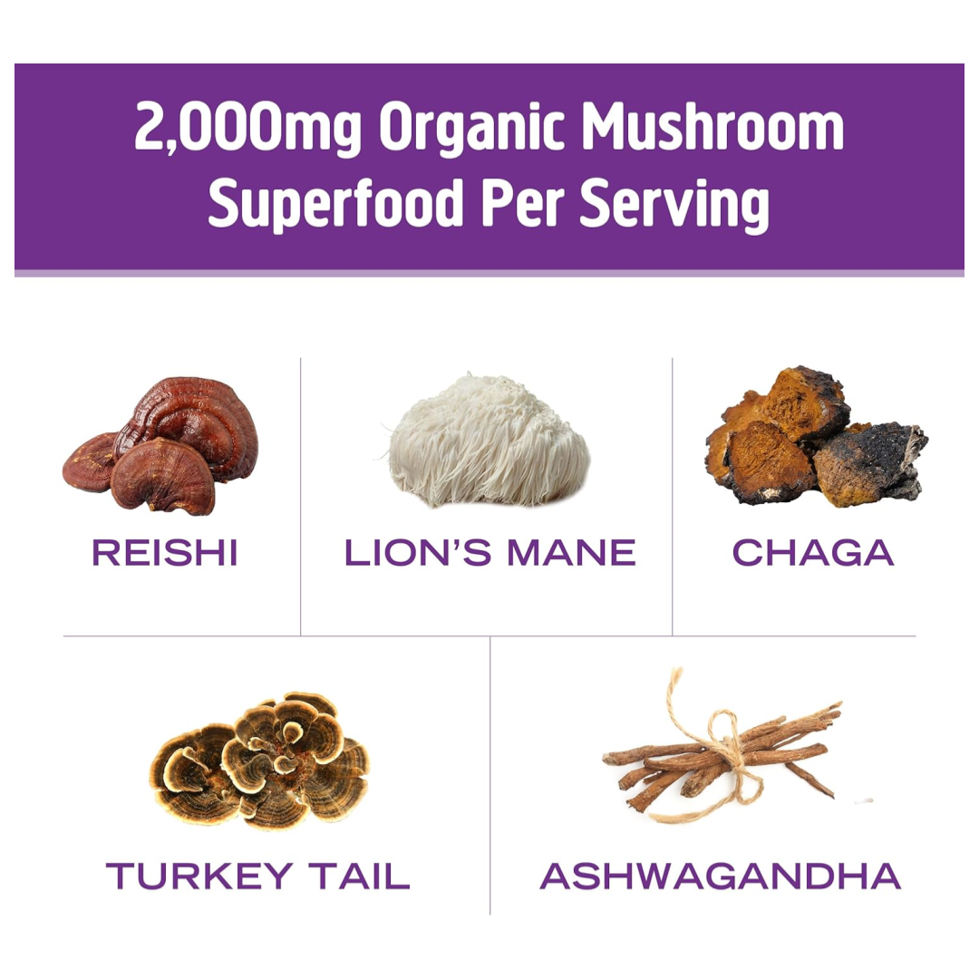 Om Mushroom Superfood Hot Chocolate Blend