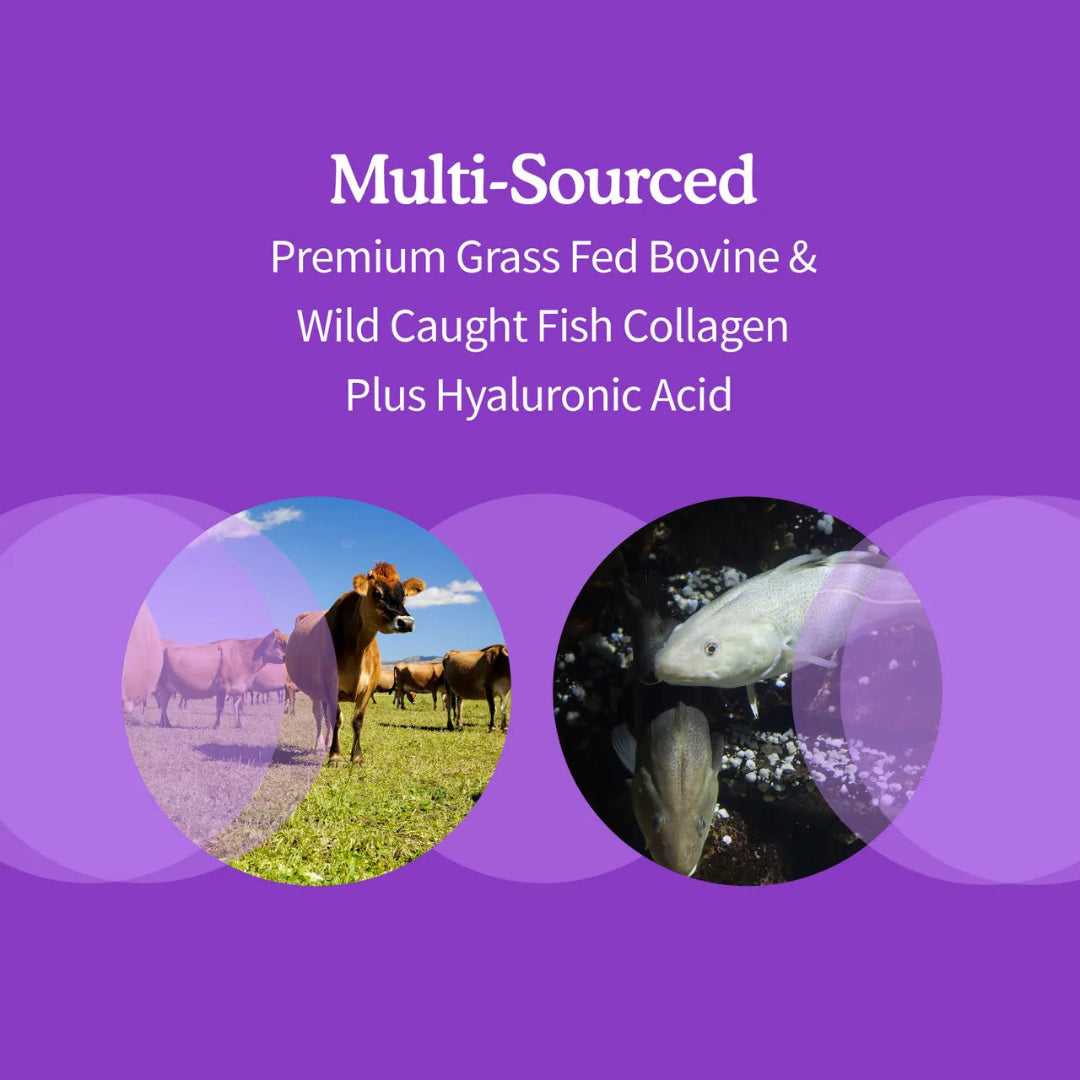 Garden of Life Wild Caught & Grass Fed Collagen Hyaluronic Acid