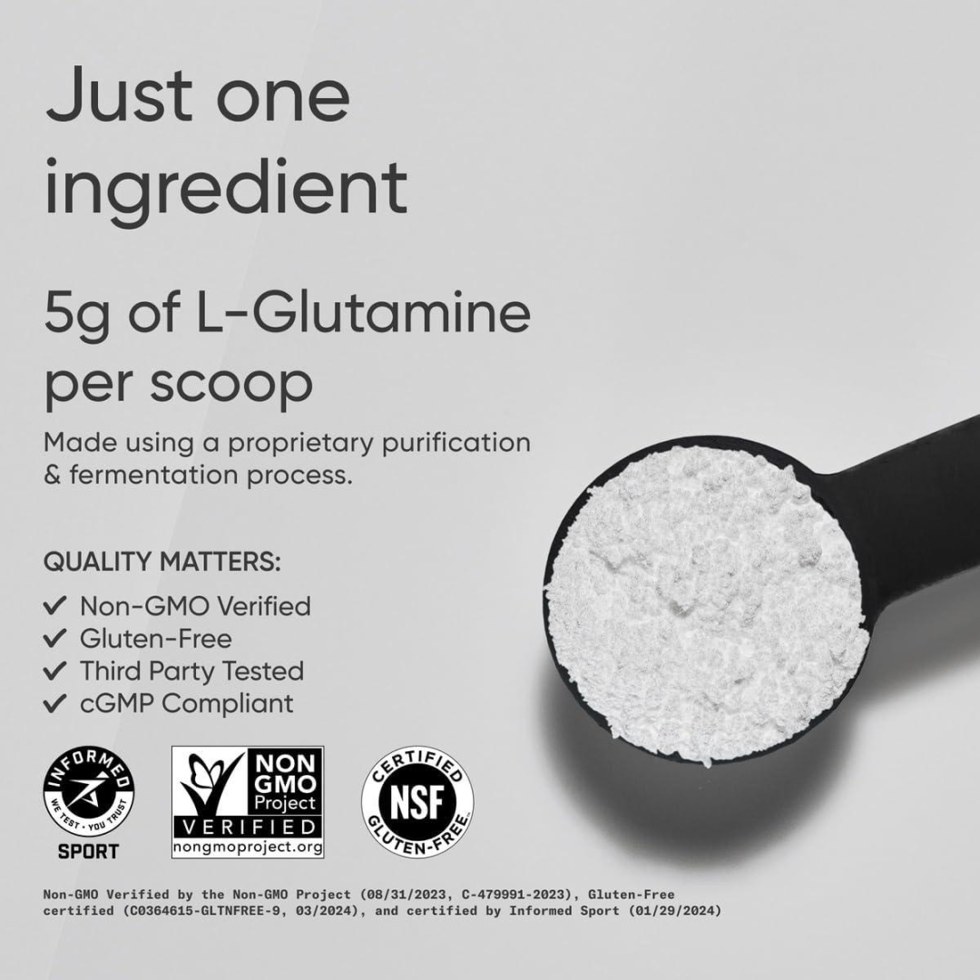 Sports Research L-Glutamine - Workout Recovery, Immune Health & Gut Health Support