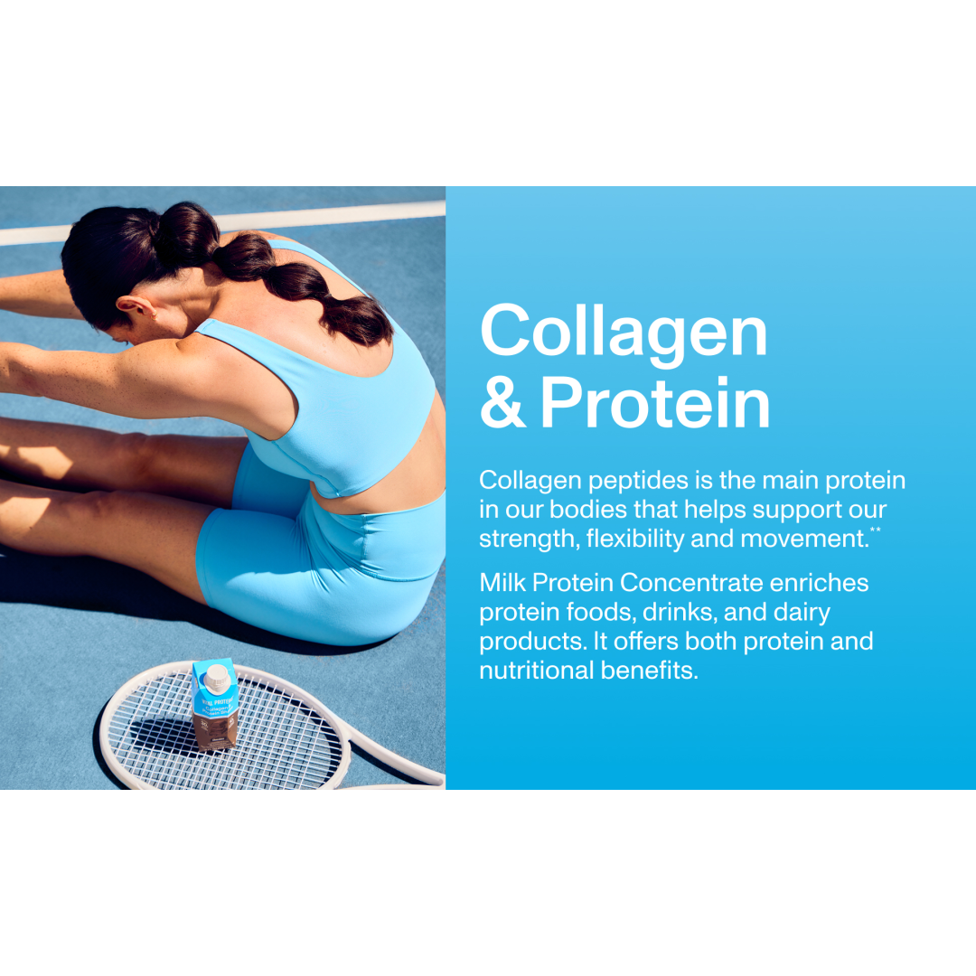 Vital Proteins Chocolate Collagen & Protein Shake