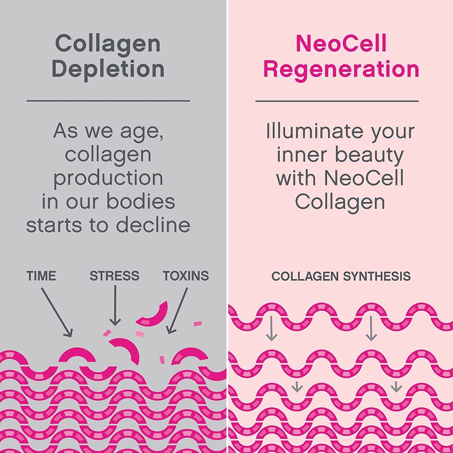 NeoCell Super Collagen Plus with Vitamin C and Hyaluronic Acid